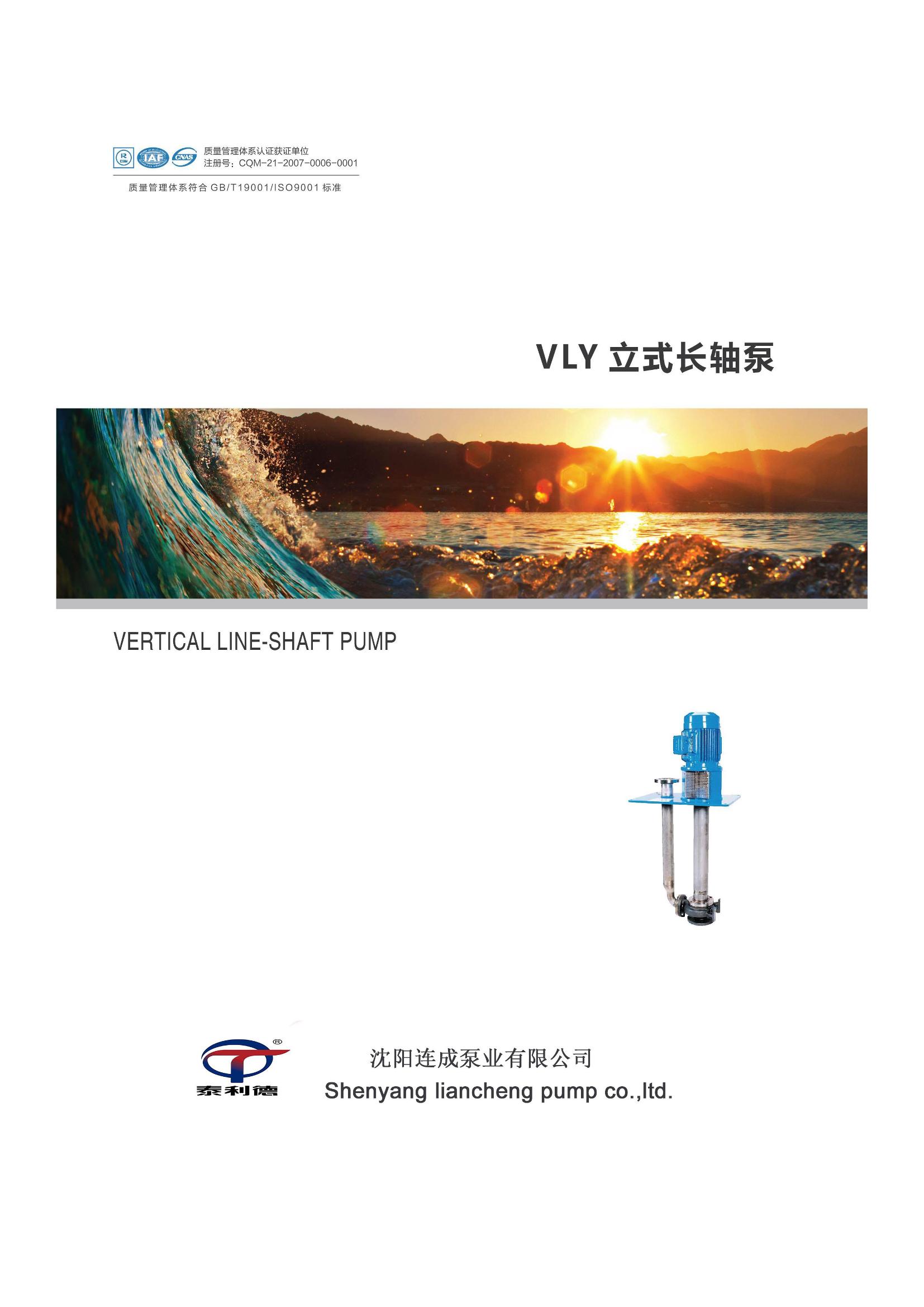 VS4 Semi- Submersible Pump